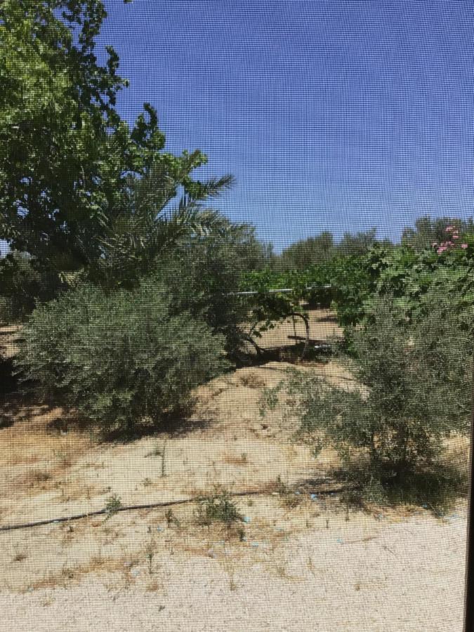 Pervolaris Cottages 2 Goudhi Esterno foto