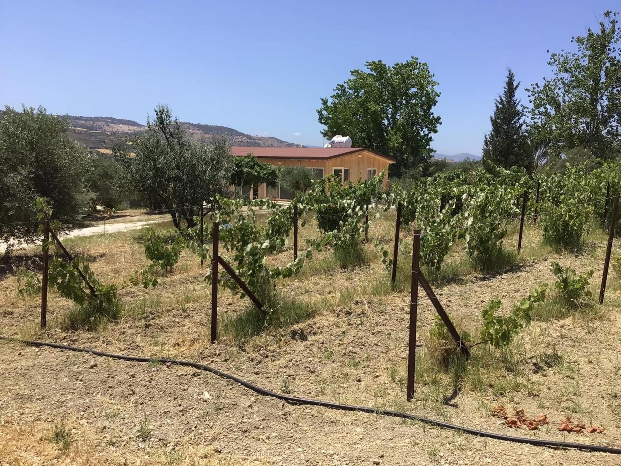Pervolaris Cottages 2 Goudhi Esterno foto